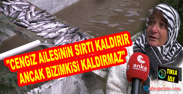 MEHMET CENGİZ’İN SAHİBİ OLDUĞU İLERİ SÜRÜLEN AİLE ÇAY BAHÇESİNDEN ÇIKAN HAFRİYATIN ALABALIK ÇİFTLİĞİNDEKİ YÜZLERCE BALIĞI ÖLDÜRDÜĞÜ İDDİASI