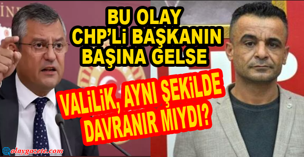 VALİLİK MHP