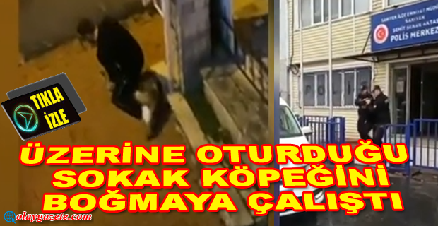 ÜZERİNE OTURDUĞU SOKAK KÖPEĞİNİ BOĞMAYA ÇALIŞTI