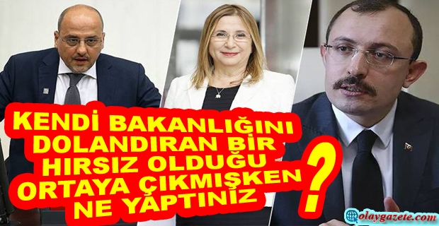 AHMET ŞIK’TAN BAKAN MUŞ’A 
