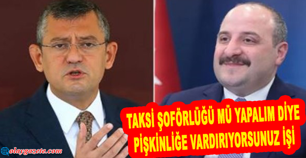 BAKAN VARANK 