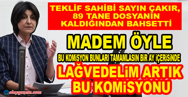SİBEL ÖZDEMİR’DEN OHAL KOMİSYONU TEPKİSİ
