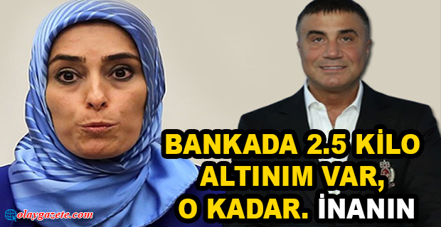 TAŞKESENLİOĞLU SEDAT PEKER