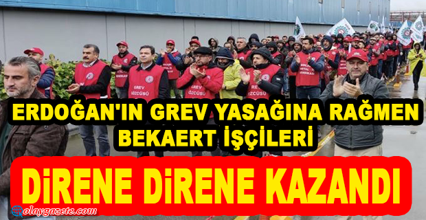 BİRLEŞİK METAL-İŞ: BEKAERT GREVİ BAŞARIYLA SONA ERDİ. 