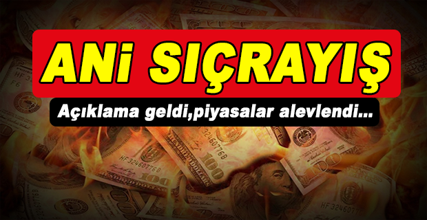 BAKANLIĞIN DUYURUSU DÖVİZİ HAREKETLENDİRDİ