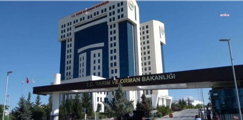 TARIM BAKANLIĞI, 7 BİN TON TEREYAĞI İHRACATINA İZİN VERDİ 