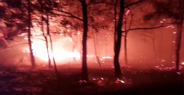 MARMARİS’TE AKŞAM ÇIKAN ORMAN YANGINI SÖNDÜRÜLEMEDİ