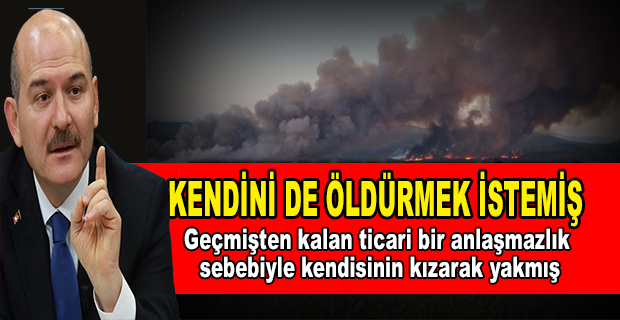 MARMARİS YANGININA İLİŞKİN BİR GÖZALTI... SOYLU: ŞAHIS SUÇUNU İTİRAF ETTİ