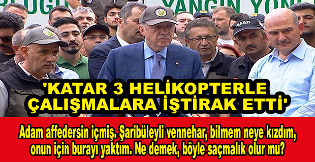 ERDOĞAN, MARMARİS YANGINININ KONTROL ALTINA ALINDIĞINI AÇIKLADI: DİKKAT ÇEKEN İDAM MESAJI