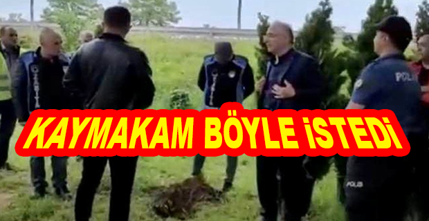 CHP
