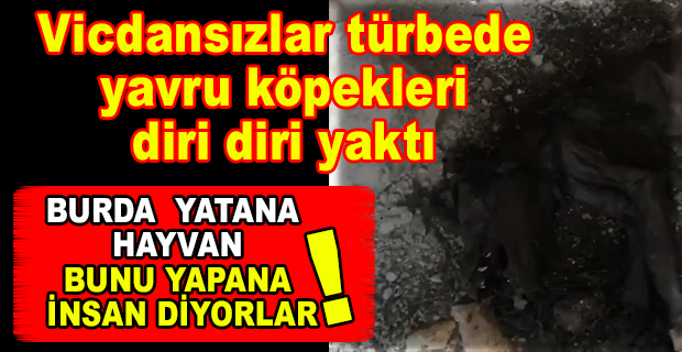 HATAY