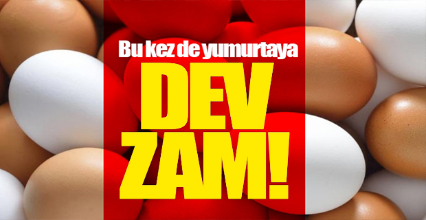 YUMURTAYA DEV ZAM 