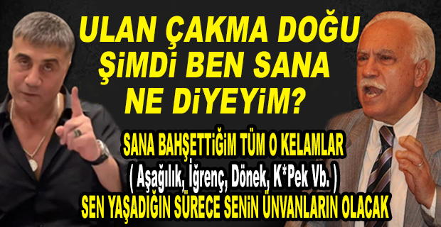 SEDAT PEKER, DOĞU PERİNÇEK