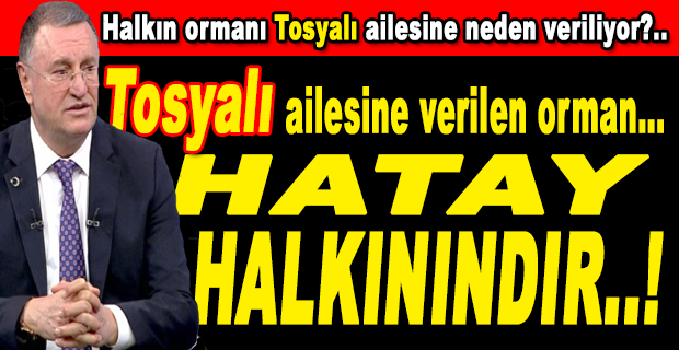 SAVAŞ: HALKIN ORMANI TOSYALI AİLESİNE NEDEN VERİLİYOR?