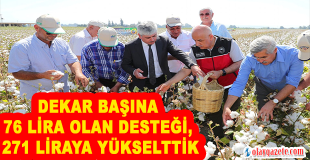 BAKAN KİRİŞÇİ HATAY’DA PAMUK HASADINA KATILDI