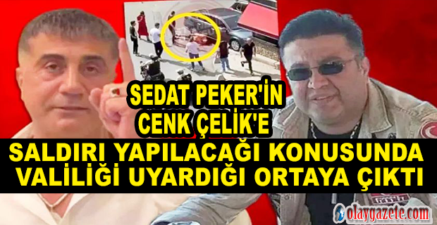 CENK ÇELİK