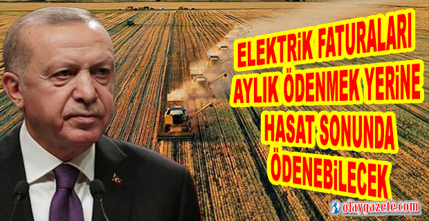 ERDOĞAN AÇIKLADI: ÇİFTÇİLERİMİZİN ELEKTRİK FATURALARI AYLIK ÖDENMEK YERİNE HASAT SONUNDA YANİ ÜRÜNLER SATILIP GELİR ELDE EDİLDİĞİNDE ÖDENEBİLECEK