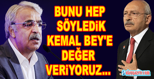 HDP EŞ GENEL BAŞKANI SANCAR