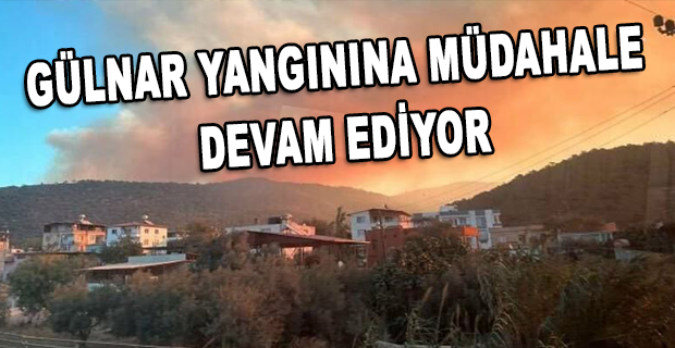BUGÜN ÜLKE GENELİNDE 22 YANGIN ÇIKTI
