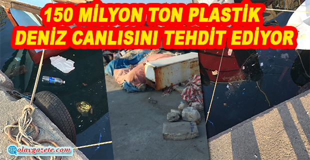 KÜRESEL DEĞİŞİMİN ÇEVREYE ETKİLERİ