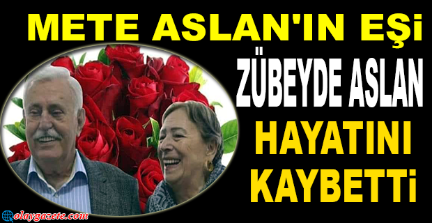 METE ASLAN