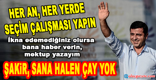 DEMİRTAŞ