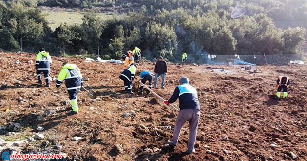 BELEN’DE BOŞ ALANLAR AĞAÇLANDIRILIYOR