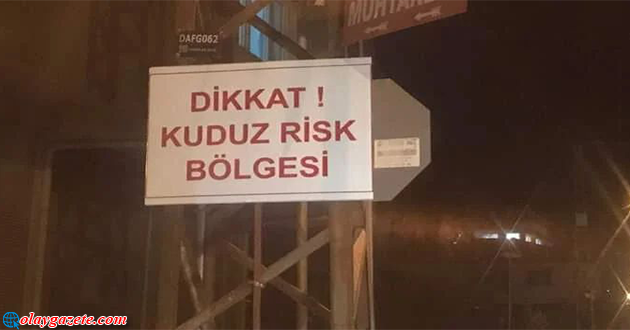 ANAYAZI’DA ‘KUDUZ KÖPEK’ ENDİŞESİ!