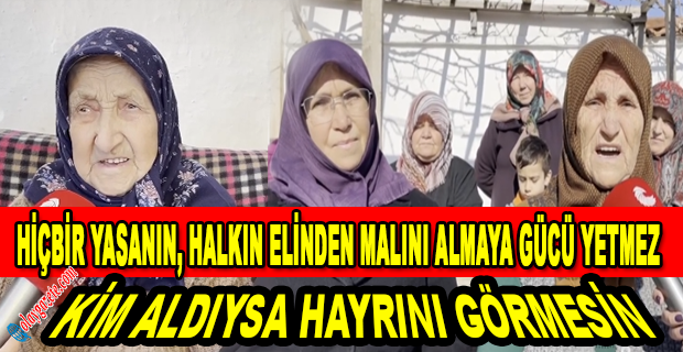 BURSA’DA BELEDİYE TARAFINDAN TAPULU ARAZİLERİNE EL KONULAN  KÖYLÜLER: CUMHURBAŞKANI’NIN TALİMATI GERÇEKLEŞECEK Mİ?