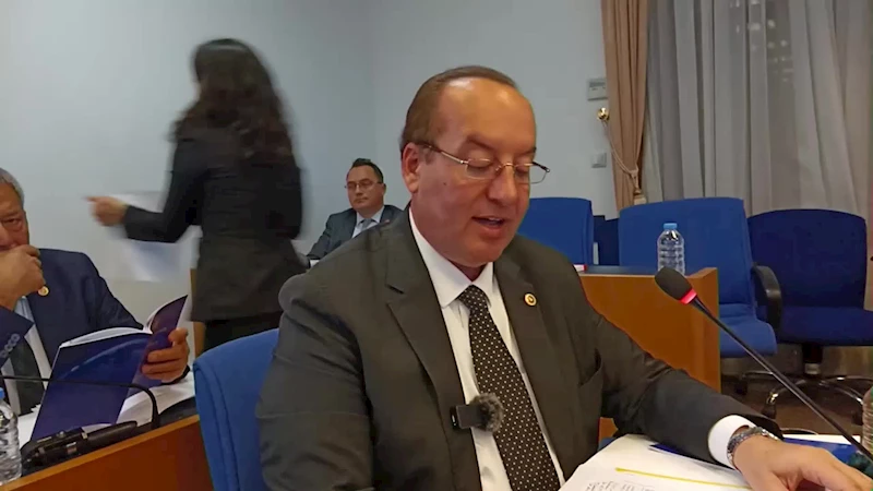 CEVDET AKAY: 