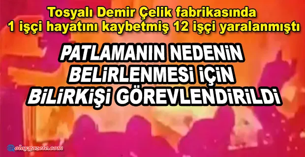 TOSYALI DEMİR ÇELİK FABRİKASI