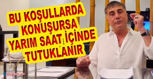 SEDAT PEKER SÖZÜNÜ TUTMAK İÇİN MUHALEFETTEN DESTEK İSTEDİ