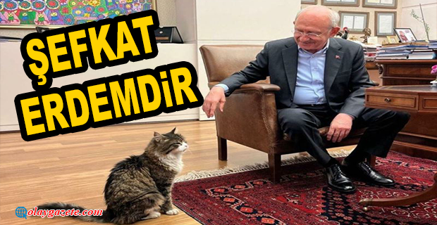KILIÇDAROĞLU, CHP’NİN KEDİSİ ‘ŞERO’YLA FOTOĞRAFLARINI PAYLAŞTI…