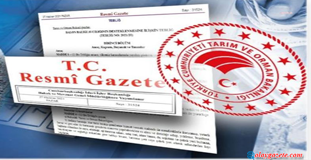 KALKINMA AJANSLARININ DESTEK SÜREÇLERİNE OHAL DÜZENLEMESİ