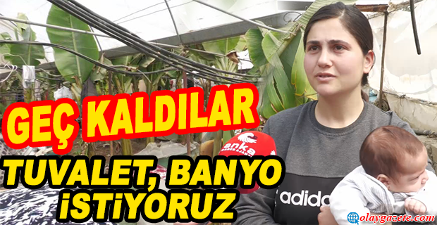 SAMANDAĞ’DA 100’DEN FAZLA DEPREMZEDE ÇADIR BULAMADIĞI İÇİN HALA MUZ SERASINDA YAŞIYOR
