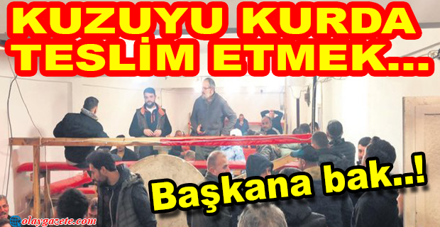 HAYVANLARI KORUMA DERNEĞİ BAŞKANI UFUK İNANÇ FENA YAKALANDI