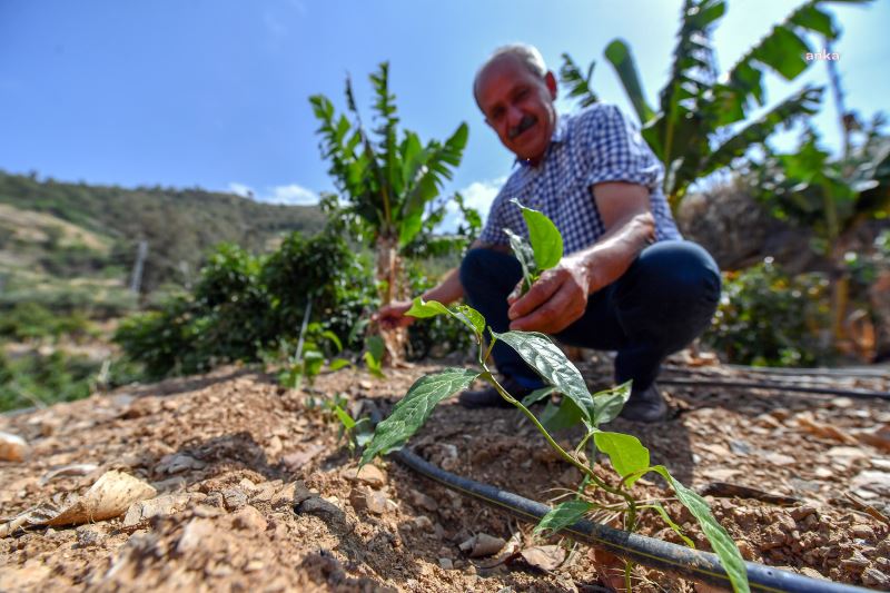 MERSİN BÜYÜKŞEHİR ÜRETİCİYE ALTERNATİF TARIM ÜRÜNLERİ SUNUYOR