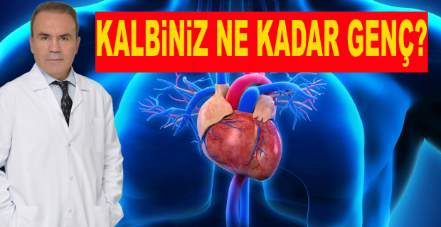 KALBİNİZ NE KADAR GENÇ?