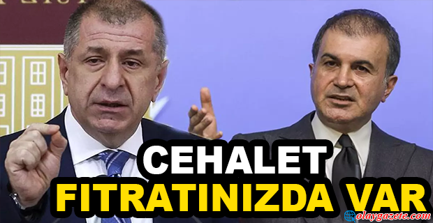 ÖZDAĞ’DAN AKP’Lİ ÇELİK’E ‘SIĞINMACI’ TEPKİSİ! “DERSLERİME KATILSAYDIN ANLARDIN”