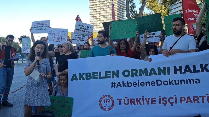 TİP