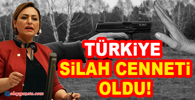 MÜZEYYEN ŞEVKİN