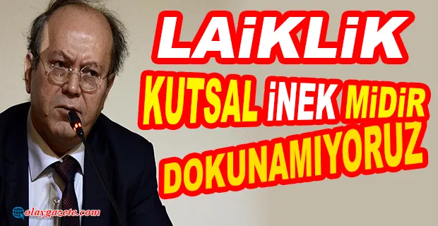 YANDAŞ YAZAR LAİKLİĞİ HEDEF ALDI: ZORUNLU EĞİTİME, 