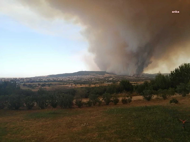 ÇANAKKALE’DE ORMAN YANGINI SÜRÜYOR… 