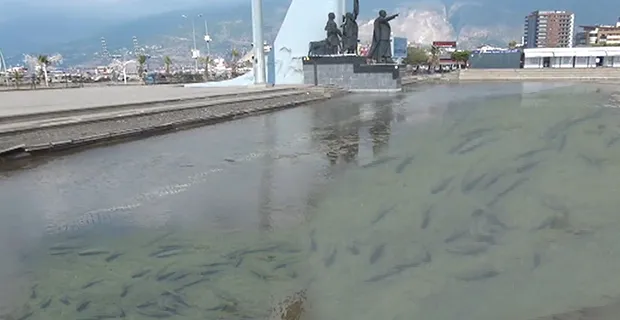 İSKENDERUN ATATÜRK ANIT’I  BALIKLI GÖL’E DÖNDÜ 