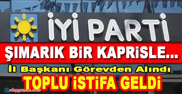 İYİ PARTİ