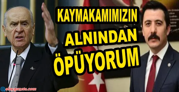 BAHÇELİ
