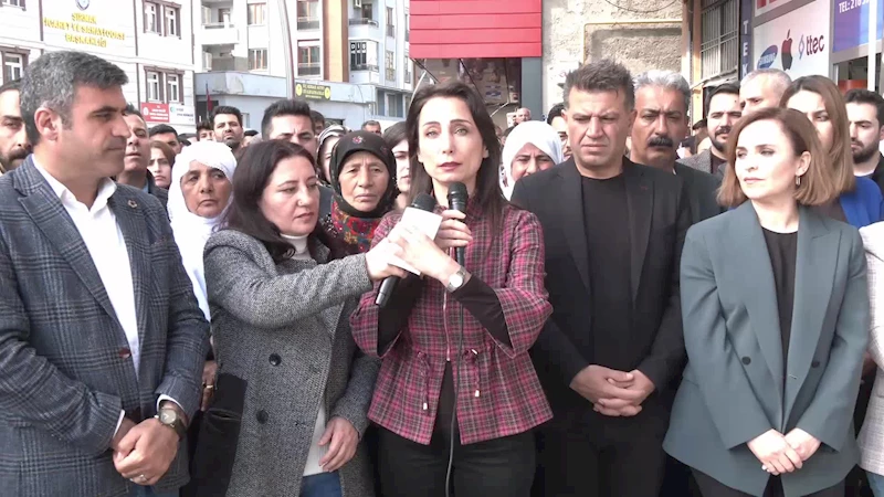 DEM PARTİ EŞ GENEL BAŞKANI HATİMOĞULLARI: YSK, AKP