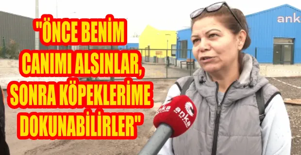 SOKAK HAYVANLARININ UYUTULMASI HAZIRLIĞINA HAYVANSEVERLER TEPKİLİ