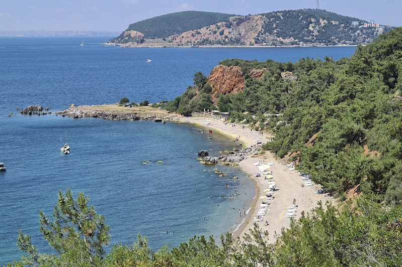 MADAM MARTHA KOYU İHALESİ BU KEZ MAHKEMEYE TAŞINDI