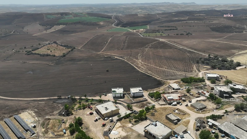 Diyarbakır ve Mardin arasında çıkan yangında ölü sayısı 15’e yükseldi